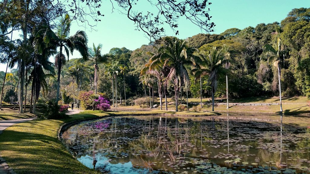 São Paulo - Primavera